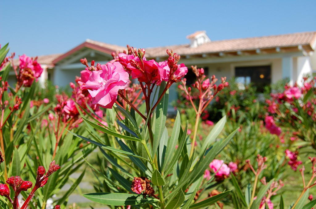 Hotel Budoni Beach Exterior foto